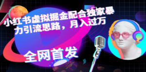 小红书虚拟掘金配合独家首发暴力引流思路，月入过万-创业资源网 | 精品设计与工具分享平台