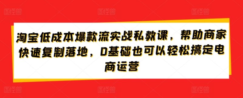 淘宝低成本爆款流实战攻略，低成本爆款打造与流量获取，0基础也可以轻松搞定电商运营-创业资源网 | 精品设计与工具分享平台