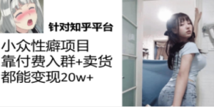 知乎小众性癖项目，Lsp的钱才是最好赚的，付费建群+卖货变现20w-创业资源网 | 精品设计与工具分享平台