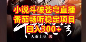 小说斗破苍穹直播，番茄畅听日入300+稳定项目-创业资源网 | 精品设计与工具分享平台