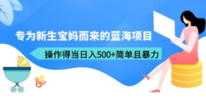 专为新生宝妈而来的蓝海项目,操作得当日入500+简单且暴力(教程+工具)-创业资源网 | 精品设计与工具分享平台