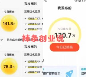 图片[2]-闲鱼大流量联盟玩法，单日引流200+，稳定日入1000+-阿兴说钱