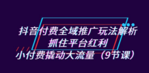 抖音付费全域推广玩法解析：抓住平台红利，小付费撬动大流量（9节课）-创业资源网 | 精品设计与工具分享平台