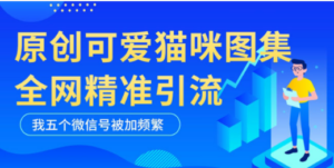 黑科技纯原创可爱猫咪图片,全网精准引流,实操5个VX号被加频繁-创业资源网 | 精品设计与工具分享平台