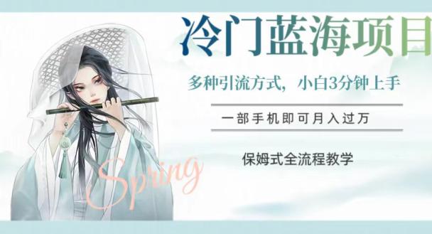 蓝海冷门项目，轻松操作，新手3分钟简单上手，多种引流策略，保姆式全流程教学【揭秘】-创业资源网 | 精品设计与工具分享平台