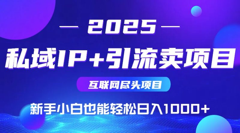 2025网创尽头项目，私域IP+引流，新手小白也能在家日入1000+-创业资源网 | 精品设计与工具分享平台