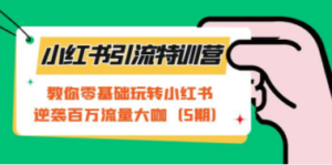 小红书引流特训营-第5期：教你零基础玩转小红书，逆袭百万流量大咖-创业资源网 | 精品设计与工具分享平台
