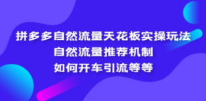 拼多多自然流量天花板实操玩法：自然流量推荐机制，如何开车引流-创业资源网 | 精品设计与工具分享平台