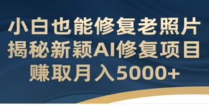小白也能修复老照片！揭秘新颖AI修复项目，赚取月入5000+-创业资源网 | 精品设计与工具分享平台