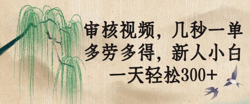 审核视频，几秒一单，多劳多得，新人小白一天轻松300+-创业资源网 | 精品设计与工具分享平台