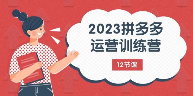 2023年拼多多运营攻略:解锁流量秘密,全方位免费 付费流量实战解析(12节课) 2023年拼多多运营攻略:解锁流量秘密,全方位免费 付费流量实战解析(12节课)