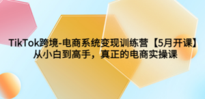 TikTok跨境-电商系统变现训练营【5月新课】从小白到高手，真正的电商实操课-创业资源网 | 精品设计与工具分享平台