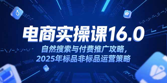 淘宝电商运营课16.0,自然搜索与付费推广攻略,2025年标品非标品运营策略-创业资源网 | 精品设计与工具分享平台