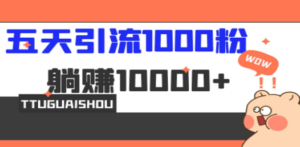 5天引流1000+，赚了1w+-创业资源网 | 精品设计与工具分享平台