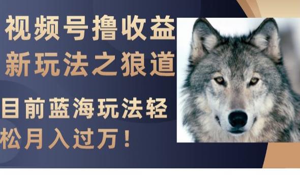 视频号撸收益新玩法之狼道，目前蓝海玩法，轻松月入过万【揭秘】-创业资源网 | 精品设计与工具分享平台