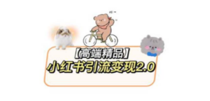 小红书最新引流变现2.0教程,全网最新最详细的视频教程+素材-创业资源网 | 精品设计与工具分享平台