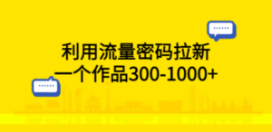 利用流量密码拉新,一个作品300-1000+-创业资源网 | 精品设计与工具分享平台