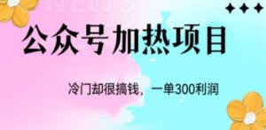 冷门公众号加热项目，一单利润300+-创业资源网 | 精品设计与工具分享平台