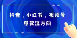 抖音，小红书，视频号爆款流视频制作，简单制作掌握流量密码-创业资源网 | 精品设计与工具分享平台