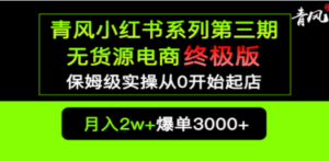 小红书无货源电商爆单终极版【视频教程+实战手册】保姆级实操从0起店爆单-创业资源网 | 精品设计与工具分享平台