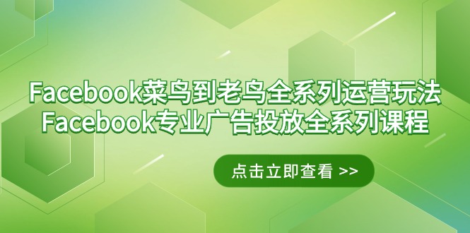 Facebook-菜鸟到老鸟全系列运营玩法+Facebook-专业广告投放全系列课程-创业资源网 | 精品设计与工具分享平台
