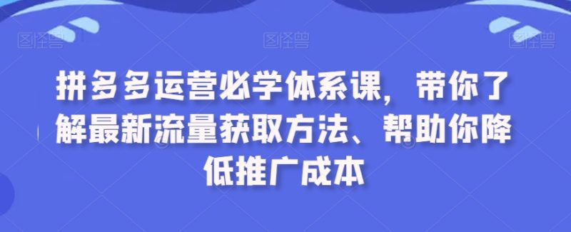 拼多多运营必学体系课程，最新流量获取方法、帮助你降低推广成本-创业资源网 | 精品设计与工具分享平台