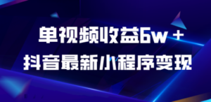 抖音最新小程序变现项目，单视频收益6w＋-创业资源网 | 精品设计与工具分享平台