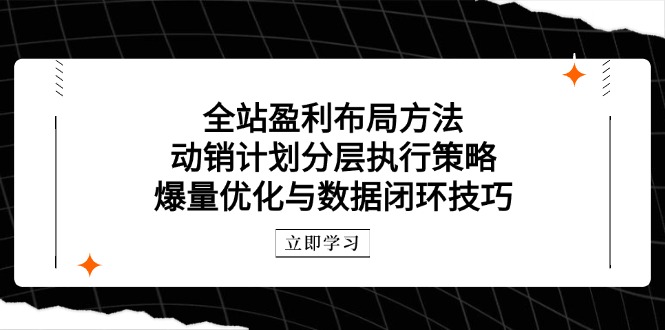 全站盈利布局方法：动销计划分层执行策略，爆量优化与数据闭环技巧-创业资源网 | 精品设计与工具分享平台