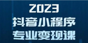 抖音小程序变现保姆级教程：0粉丝新号 无需实名 3天起号 第1条视频就有收入-创业资源网 | 精品设计与工具分享平台