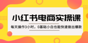 小红书·电商实操课：每天操作3小时，0基础小白也能快速做出爆款-创业资源网 | 精品设计与工具分享平台