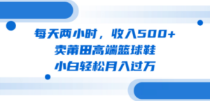 每天两小时，收入500+，卖莆田高端篮球鞋，小白轻松月入过万（教程+素材）-创业资源网 | 精品设计与工具分享平台