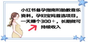小红书备孕指南和胎教音乐资料 孕妇宝妈首选项目 一天赚个300＋长期可做-创业资源网 | 精品设计与工具分享平台