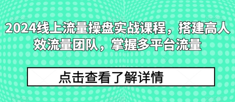 2024流量王者修炼手册：打造高效流量团队，解锁多平台流量秘籍-创业资源网 | 精品设计与工具分享平台