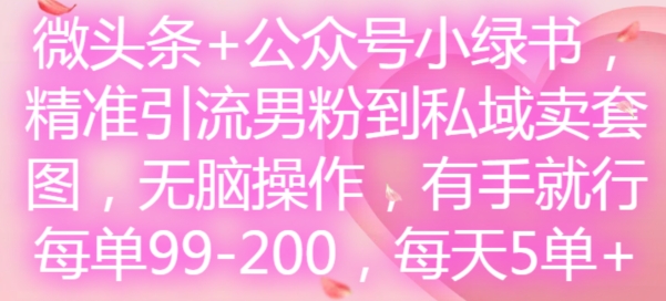 微头条+公众号小绿书，精准引流男粉到私域卖套图，无脑操作，有手就行，每单99-200，每天5单-创业资源网 | 精品设计与工具分享平台