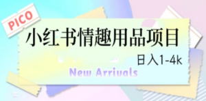 最新小红书情趣用品项目，日入1-4k-创业资源网 | 精品设计与工具分享平台