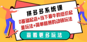 拼多多系统课：0基础起店+当下最牛的低价起量玩法+简单粗暴的动销玩法-创业资源网 | 精品设计与工具分享平台