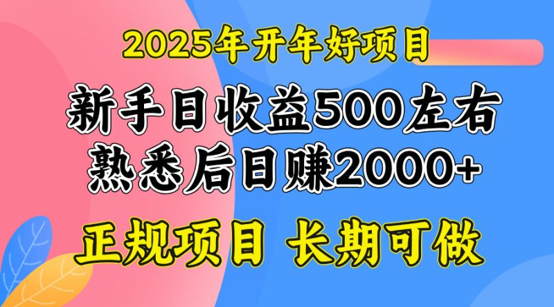 2025开年好项目，单号日收益2000左右-创业资源网 | 精品设计与工具分享平台