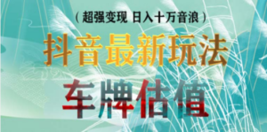 抖音最新无人直播变现直播车牌估值玩法项目 轻松日赚几百+【详细玩法教程】-创业资源网 | 精品设计与工具分享平台