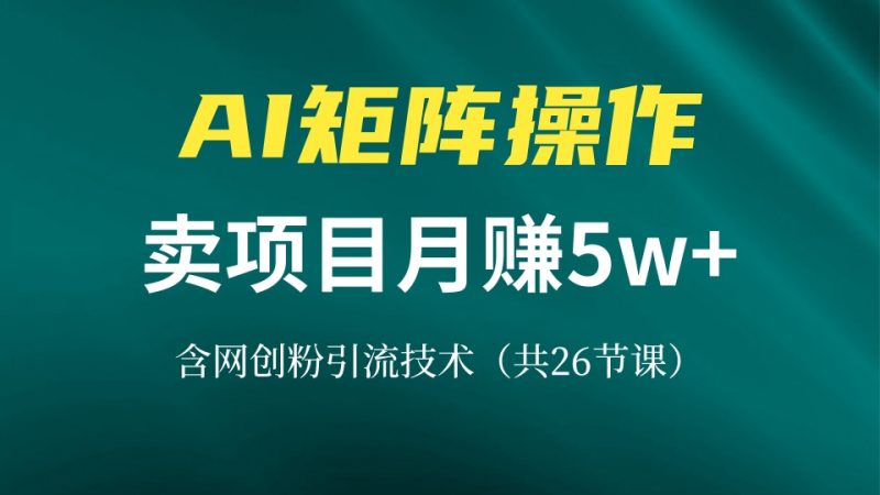 网创IP打造课，借助AI卖项目月赚5万+，含引流技术（共26节课）-创业资源网 | 精品设计与工具分享平台
