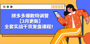 拼多多爆款特训营【3月更新】，全套实战干货​复盘课程-创业资源网 | 精品设计与工具分享平台