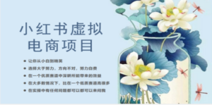 小红书虚拟电商从0到1，让你从小白到精英（20节实操课程）-创业资源网 | 精品设计与工具分享平台