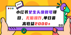 小红书女生头像账号项目，无脑操作“”单日最高收益2000+-创业资源网 | 精品设计与工具分享平台