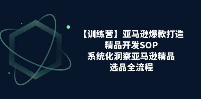【训练营】亚马逊爆款打造之精品开发SOP，系统化洞察亚马逊精品选品全流程-创业资源网 | 精品设计与工具分享平台