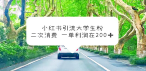 小红书引流大学生粉，变现项目，一单利润在200+（教程+资源）-创业资源网 | 精品设计与工具分享平台