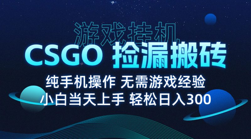 8月最新游戏搬砖，CSGO纯挂机，不需要玩游戏，实现真挂机，月入1W+-创业资源网 | 精品设计与工具分享平台
