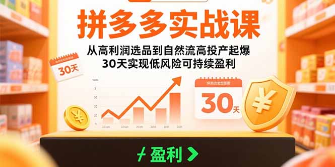 拼多多实战课:从高利润选品到自然流高投产起爆 30天实现低风险可持续盈利 拼多多实战课:从高利润选品到自然流高投产起爆 30天实现低风险可持续盈利