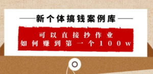 新个体 搞钱案例 库，可以直接抄作业 如何赚到第一个100w（29节视频+文档）-创业资源网 | 精品设计与工具分享平台