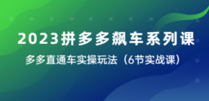 2023拼多多飙车系列课，多多直通车实操玩法（6节实战课）-创业资源网 | 精品设计与工具分享平台