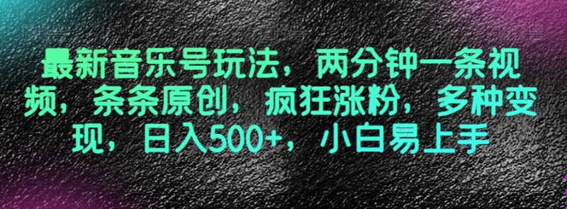 最新音乐号玩法，两分钟一条视频，条条原创，疯狂涨粉，多种变现，日入500+，小白易上手【揭秘】-创业资源网 | 精品设计与工具分享平台