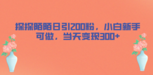 探探陌陌日引200粉，小白新手可做，当天就能变现300+-创业资源网 | 精品设计与工具分享平台